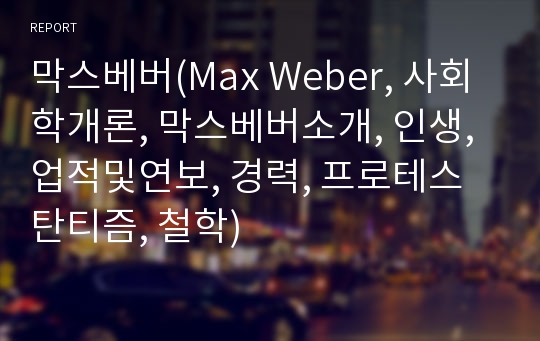 막스베버(Max Weber, 사회학개론, 막스베버소개, 인생, 업적및연보, 경력, 프로테스탄티즘, 철학)