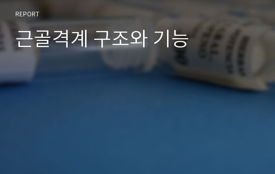 근골격계 구조와 기능