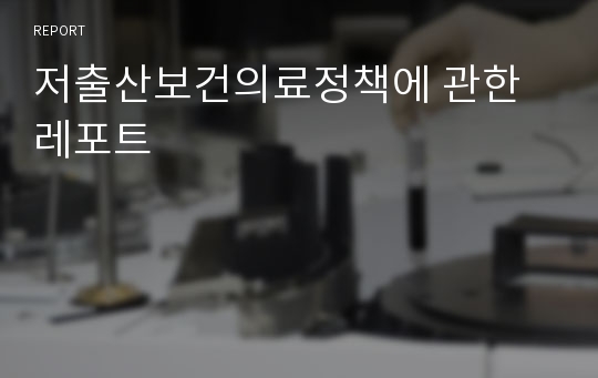 저출산보건의료정책에 관한 레포트