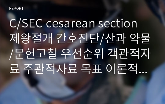 C/SEC cesarean section 제왕절개 간호진단/산과 약물/문헌고찰 우선순위 객관적자료 주관적자료 목표 이론적근거 다 정리되어 있습니다 도움많이 될거에요