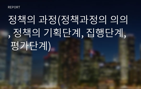 정책의 과정(정책과정의 의의, 정책의 기획단계, 집행단계, 평가단계)