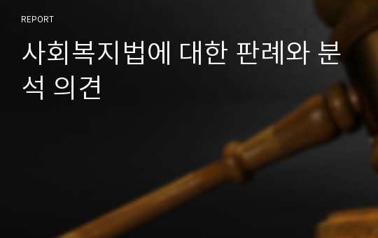 사회복지법에 대한 판례와 분석 의견