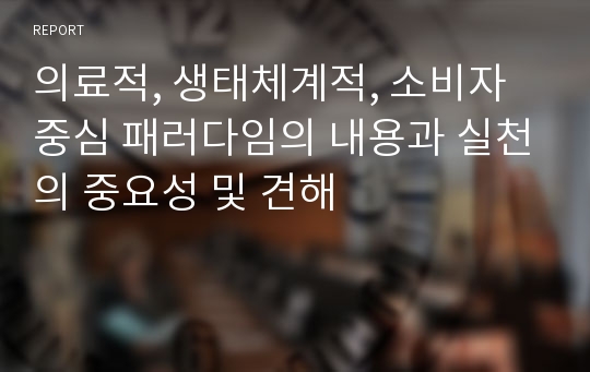 의료적, 생태체계적, 소비자중심 패러다임의 내용과 실천의 중요성 및 견해