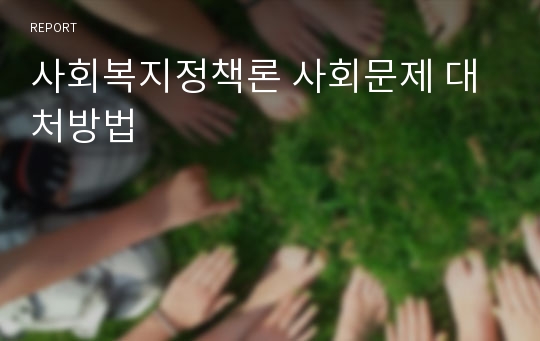 사회복지정책론 사회문제 대처방법