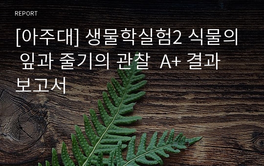 [아주대] 생물학실험2 식물의 잎과 줄기의 관찰  A+ 결과보고서