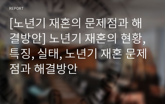 [노년기 재혼의 문제점과 해결방안] 노년기 재혼의 현황, 특징, 실태, 노년기 재혼 문제점과 해결방안