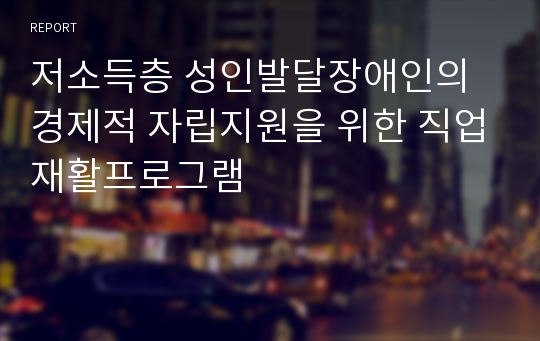 저소득층 성인발달장애인의 경제적 자립지원을 위한 직업재활프로그램