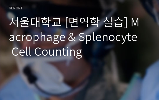 서울대학교 [면역학 실습] Macrophage &amp; Splenocyte  Cell Counting