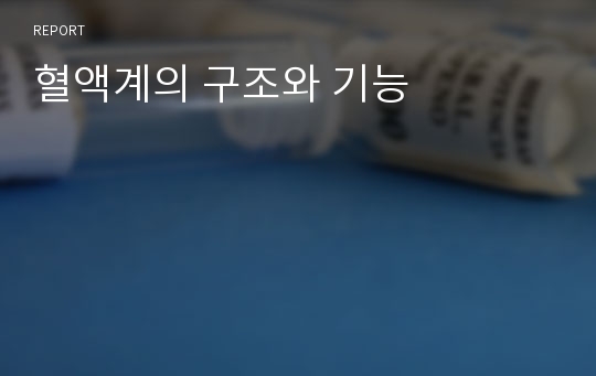 혈액계의 구조와 기능