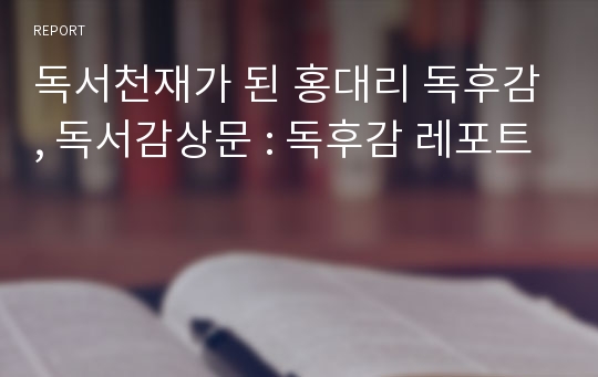 독서천재가 된 홍대리 독후감, 독서감상문 : 독후감 레포트