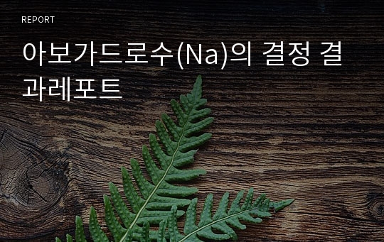 아보가드로수(Na)의 결정 결과레포트