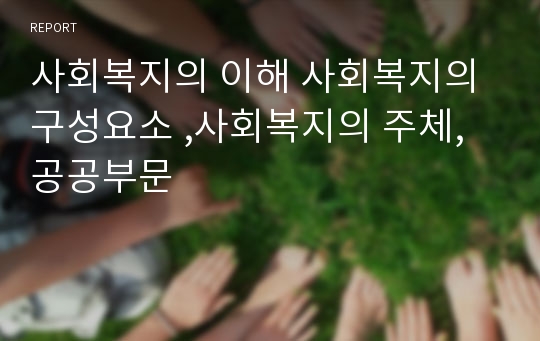 사회복지의 이해 사회복지의 구성요소 ,사회복지의 주체,공공부문