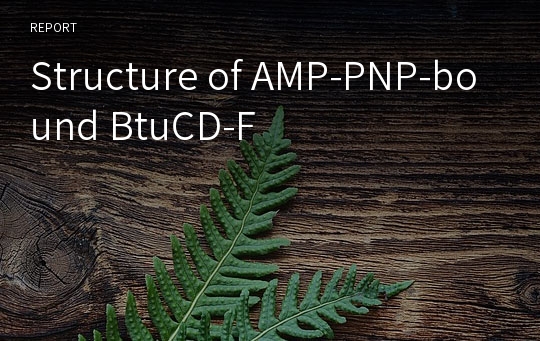 Structure of AMP-PNP-bound BtuCD-F