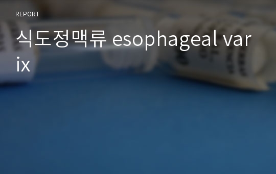 식도정맥류 esophageal varix
