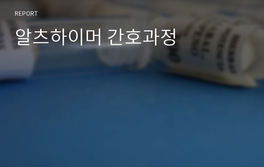 알츠하이머 간호과정