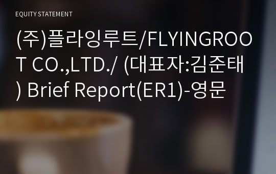 (주)플라잉루트 Brief Report(ER1)-영문