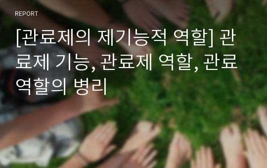 [관료제의 제기능적 역할] 관료제 기능, 관료제 역할, 관료역할의 병리