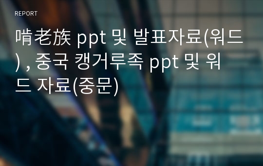 啃老族 ppt 및 발표자료(워드) , 중국 캥거루족 ppt 및 워드 자료(중문)