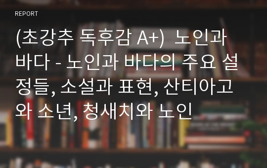 (초강추 독후감 A+)  노인과 바다 - 노인과 바다의 주요 설정들, 소설과 표현, 산티아고와 소년, 청새치와 노인