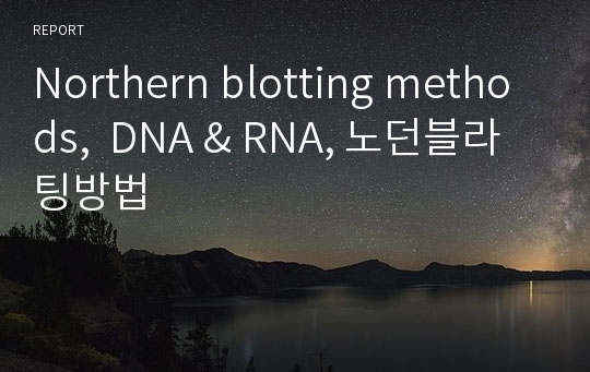 Northern blotting methods,  DNA &amp; RNA, 노던블라팅방법