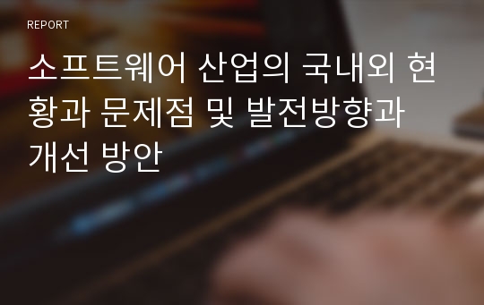 소프트웨어 산업의 국내외 현황과 문제점 및 발전방향과 개선 방안