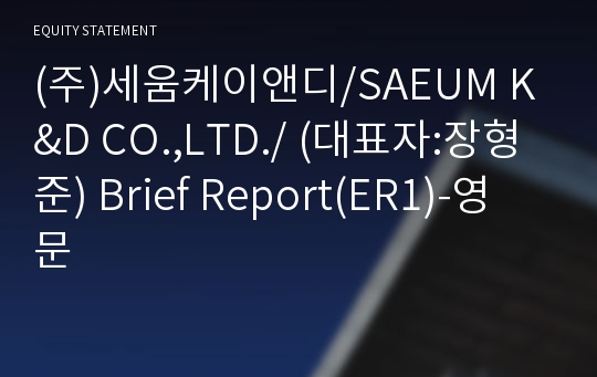 (주)세움케이앤디 Brief Report(ER1)-영문