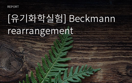 [유기화학실험] Beckmann rearrangement