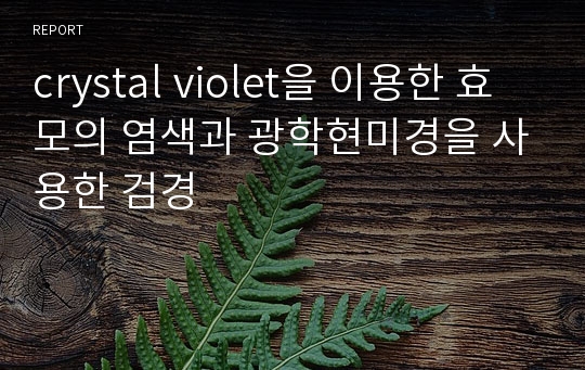 crystal violet을 이용한 효모의 염색과 광학현미경을 사용한 검경