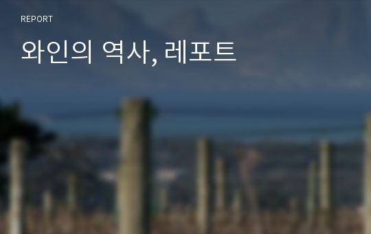 와인의 역사, 레포트