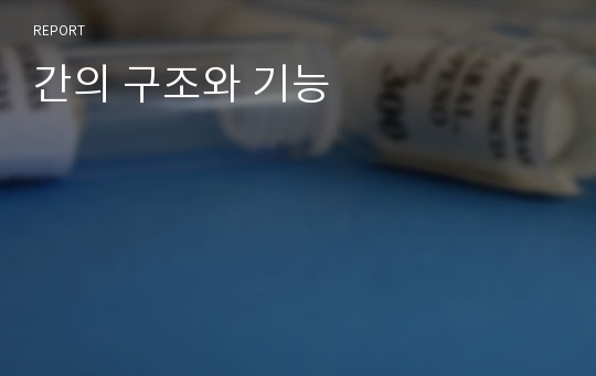 간의 구조와 기능