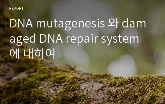 DNA mutagenesis 와 damaged DNA repair system에 대하여