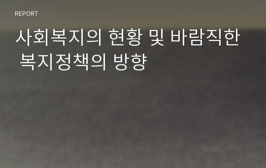 사회복지의 현황 및 바람직한 복지정책의 방향