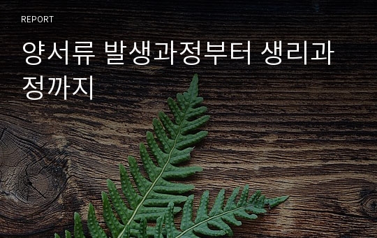 양서류 발생과정부터 생리과정까지