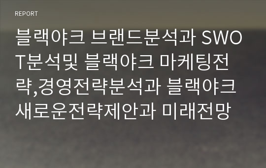 블랙야크 브랜드분석과 SWOT분석및 블랙야크 마케팅전략,경영전략분석과 블랙야크 새로운전략제안과 미래전망