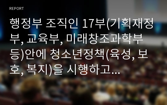 행정부 조직인 17부(기획재정부, 교육부, 미래창조과학부 등)안에 청소년정책(육성, 보호, 복지)을 시행하고 있는 사업이나 프로그램을 찾아 서술하세요.