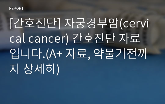 [간호진단] 자궁경부암(cervical cancer) 간호진단 자료입니다.(A+ 자료, 약물기전까지 상세히)