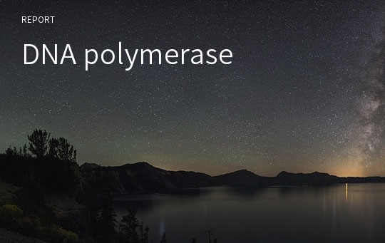 DNA polymerase