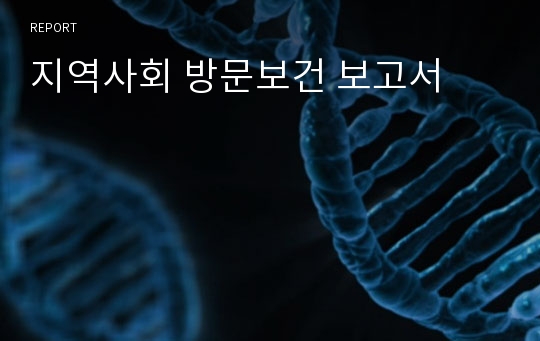 지역사회 방문보건 보고서