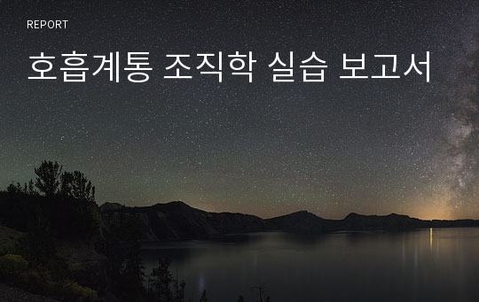 호흡계통 조직학 실습 보고서