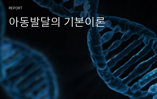 아동발달의 기본이론