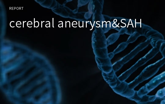 cerebral aneurysm&amp;SAH