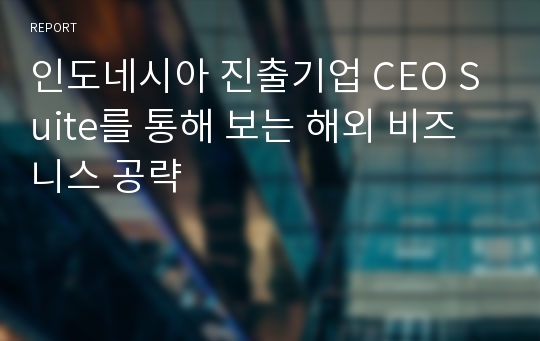 인도네시아 진출기업 CEO Suite를 통해 보는 해외 비즈니스 공략