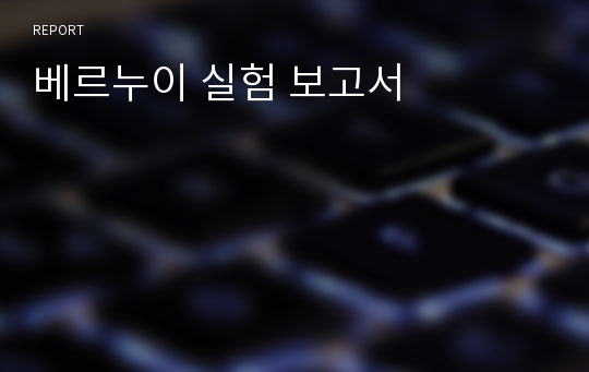 베르누이 실험 보고서