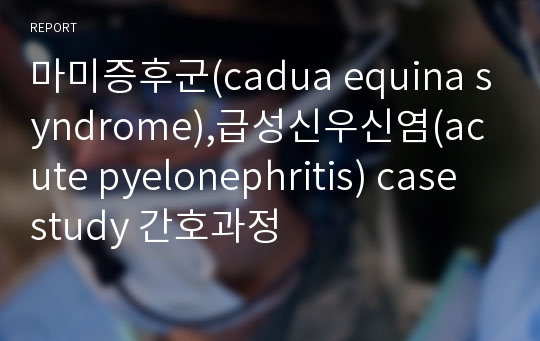마미증후군(cadua equina syndrome),급성신우신염(acute pyelonephritis) case study 간호과정