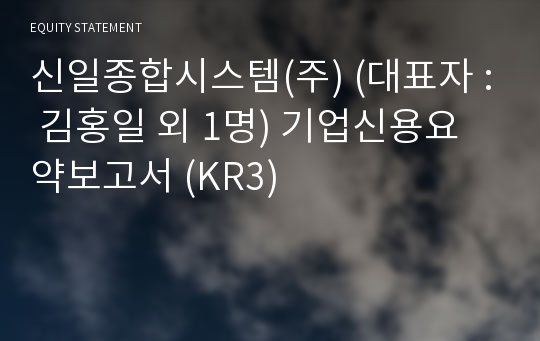 신일종합시스템(주) 기업신용요약보고서 (KR3)