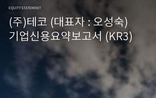 (주)테코 기업신용요약보고서 (KR3)