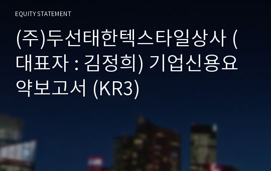 (주)두선태한텍스타일상사 기업신용요약보고서 (KR3)