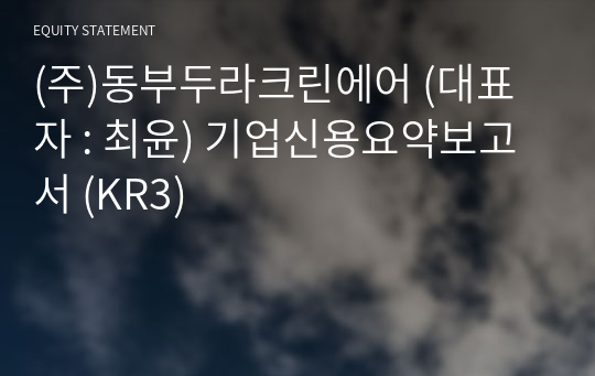 (주)동부두라크린에어 기업신용요약보고서 (KR3)