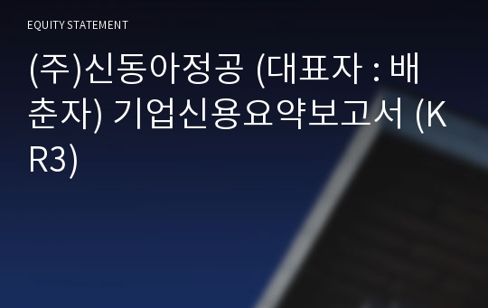 (주)신동아정공 기업신용요약보고서 (KR3)