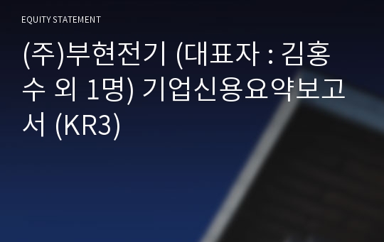 (주)부현전기 기업신용요약보고서 (KR3)